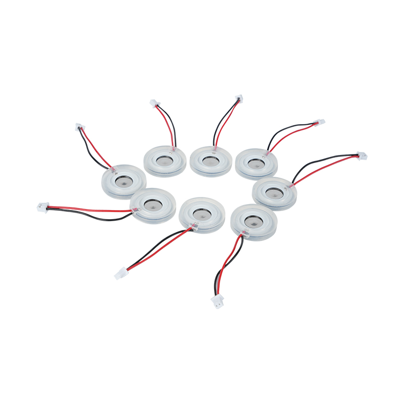 Φ16 میلی‌متر مه‌پاش ریز متخلخل صفحه مه‌پاشی پیزوالکتریک سرامیکی حجم مه بزرگ بخاری صفحه مه‌پاش اسپری سوراخ صفحه مش صفحه مه‌گیر