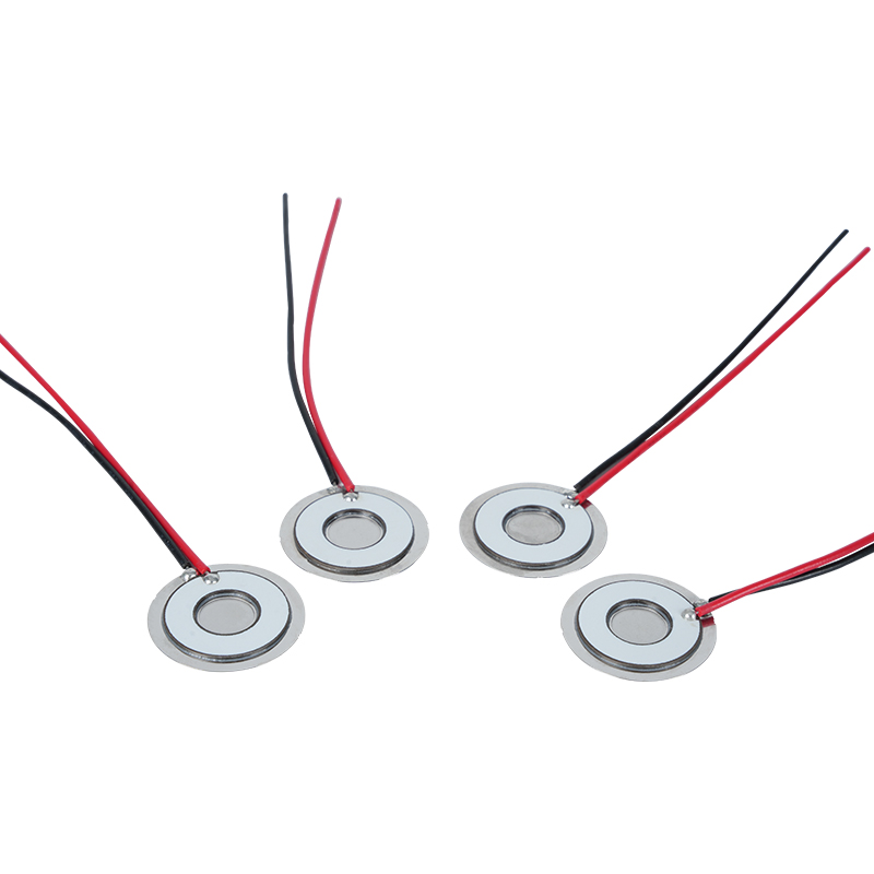 Φ20 اتمیزه کننده دیسک فرکانس 111khz304 فولاد ضد زنگ میکرو مش اتمیزاسیون دیسک مش ورق اتمیزاسیون کولر گازی یخچال یخچال و فریزر Fresh Humidification Mesh Atomizing Sheet Disperser Atomization Rate>800ml/H